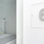 Pelican 2*